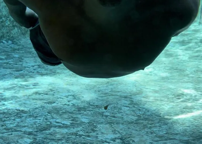 Cozy Апартаменти